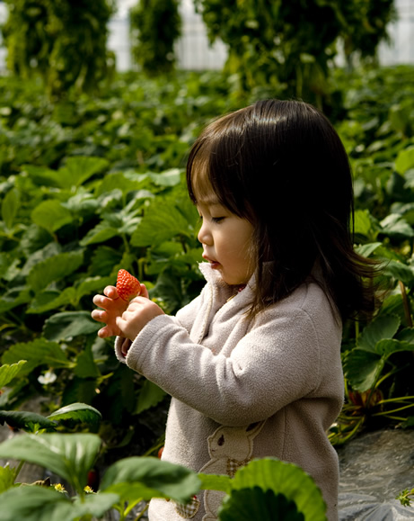 ちいさなお子様も安心