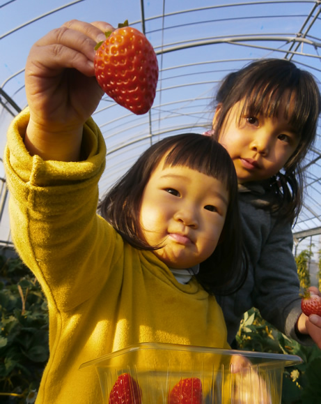 ちいさなお子様も安心2